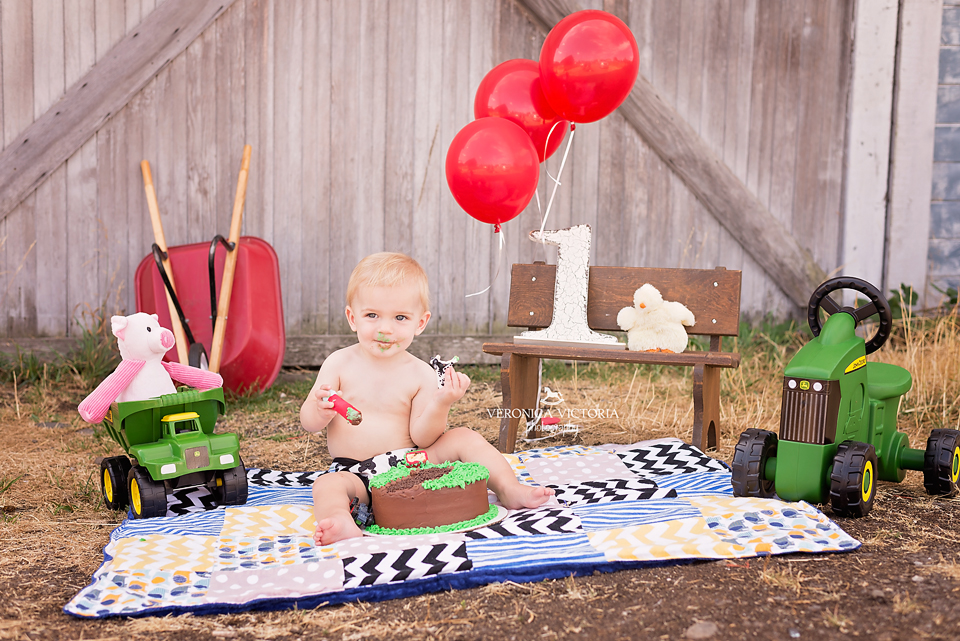 Puyallup newborn photographer, Tacoma newborn photographer, graham newborn photographer, bonney lake newborn photographer, Renton newborn photographer, Washington newborn photographer, newborn photographer in Puyallup, newborn photographer in Tacoma, newborn photographer in graham, newborn photographer in Sumner, Sumner newborn photographer, Puyallup cake smash photographer, Spanaway cake smash photographer, Lakewood cake smash photographer, Tacoma cake smash photographer, bonney lake cake smash photographer, Orting cake smash photographer, auburn WA cake smash photographer, photographer near me, cheap photographer in Puyallup, photographer in Puyallup, photographer in Tacoma, photographer in Lakewood, photographer in auburn, child cake smash photographer, baby photographer in Puyallup, baby photographer in Washington, newborn photography, maternity photography, Orting Washington, Seattle Washington, photographers in Puyallup, newborn photographers in Puyallup, pierce county photographers, Puyallup Washington newborn photographer, Puyallup Washington photographer, Tacoma Washington photographer, Lakewood Washington newborn photographer, Puyallup WA photographer, Puyallup WA newborn photographer, Puyallup Washington family photographer, Tacoma WA family photographer, Tacoma WA cake smash photographer, photographers pierce county, maternity newborn photographers pierce county, newborn photographers pierce, cake smash photographer pierce county, cake smash photographer in Puyallup, puyallup family photographer, family photographer in puyallup, family photographer in tacoma, family photographer in bonney lake, photographers in bonney lake, photographers in tacoma, photographers near puyallup, family pics in puyallup, family pics in tacoma, photographer near federal way, photographer near seattle, cheap photographer in puyallup, cheap photographer in WA, cheap photographer in pierce county