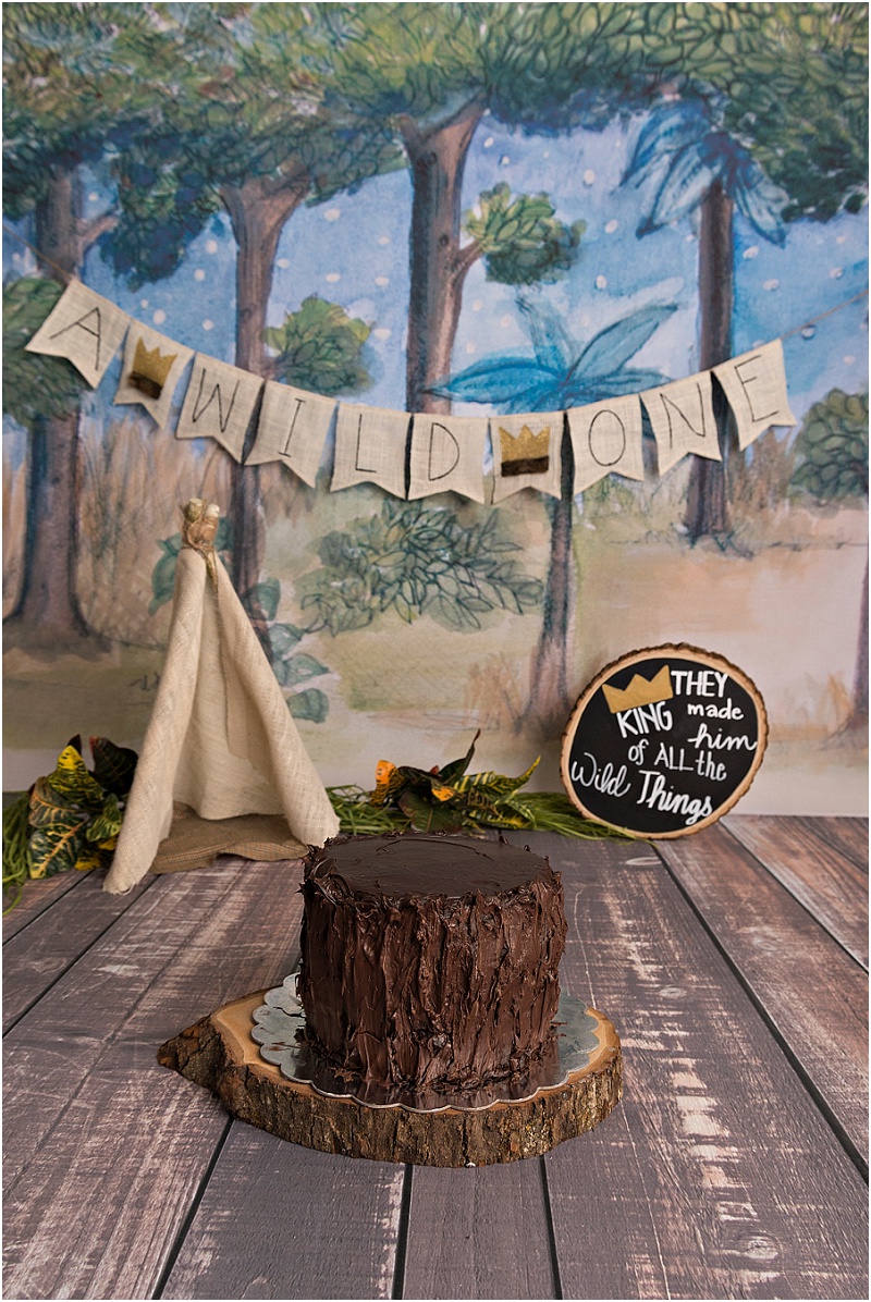 puyallup-child-photographer, where the wild things are cake smash