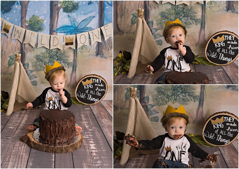 puyallup-child-photographer, where the wild things are cake smash